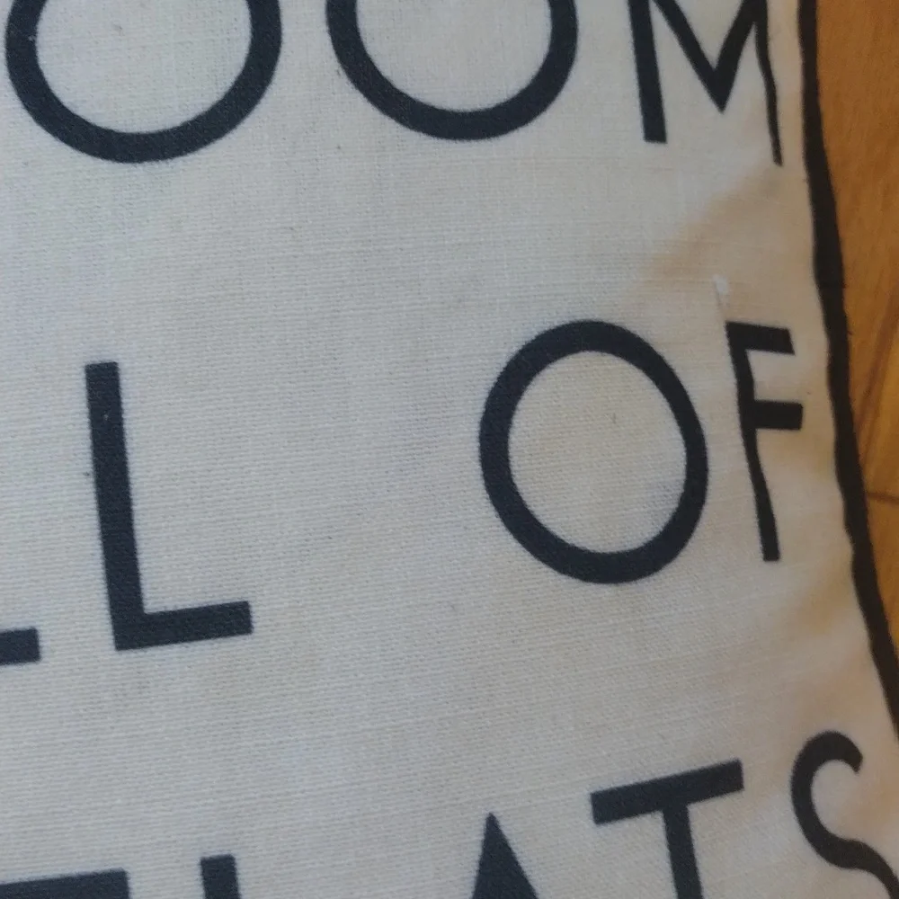 5/$25 - Decorative duck filled feathers removable pillow cover square pillow